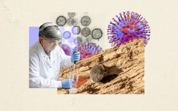 The search for answers on hantavirus
