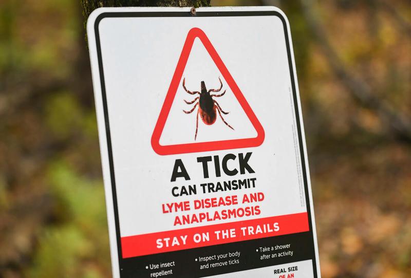 A trail sign in the Eastern Townships, Quebec. Warming winters are making it easier for ticks to survive and tick populations to increase.