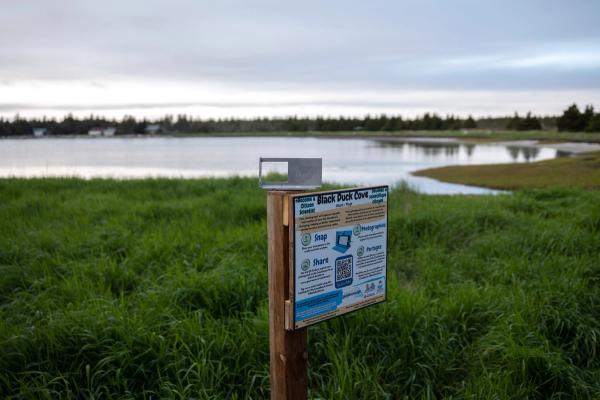 A photographic frame at Black Duck Cove on a sign showing citizen scientists how to take a photo and record it for research