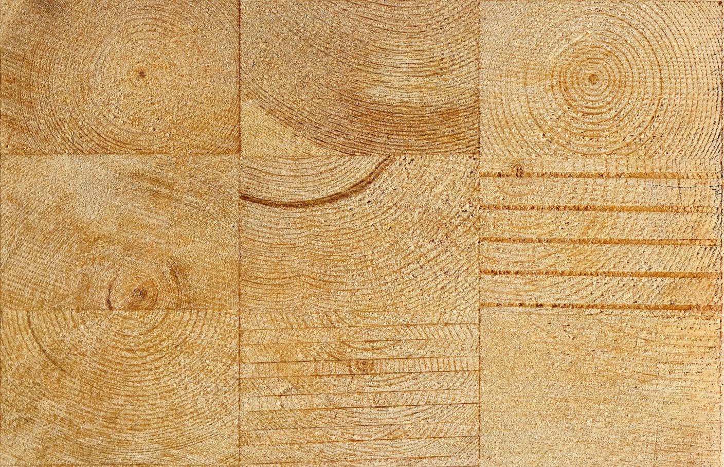 Cross section of wood and CLT