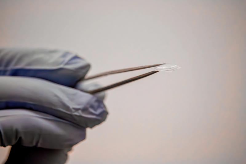 The device's microneedles are less than a millimetre long, in contrast with the three-to-four-millimetre needle currently used in continuous glucose monitors.