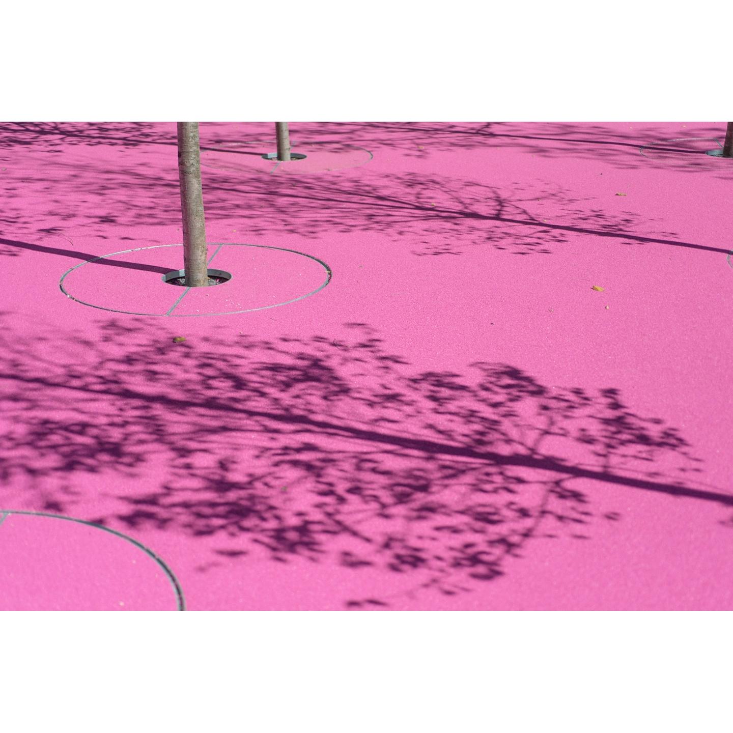 Accented by vivid pink rubber and black granite paving, the park's surface is a digital voice print of a quote from June Callwood.