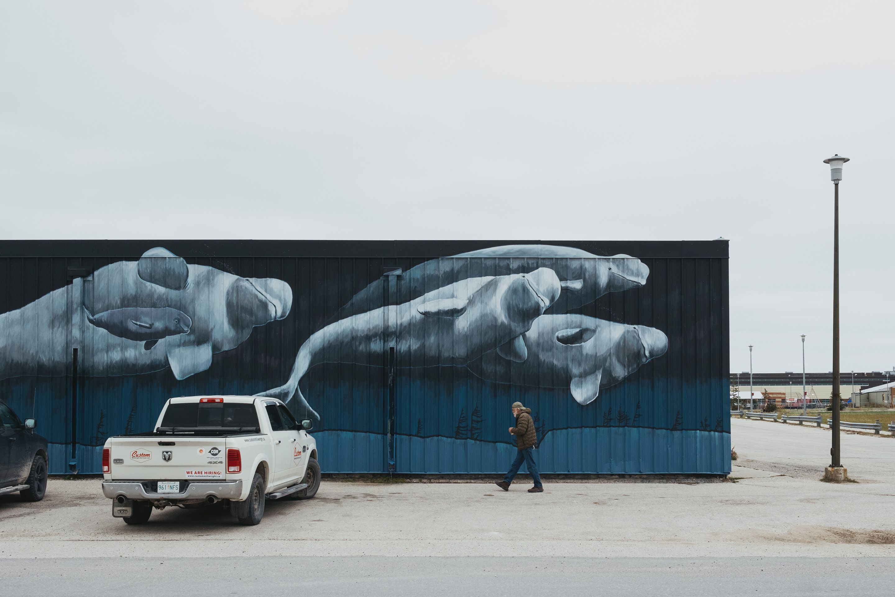 Dennis Compayre, known as The Polar Bear Whisperer, walks past a mural of beluga whales in Churchill, Manitoba on September 26, 2026. Compayre is a polar bear advocate and guide.