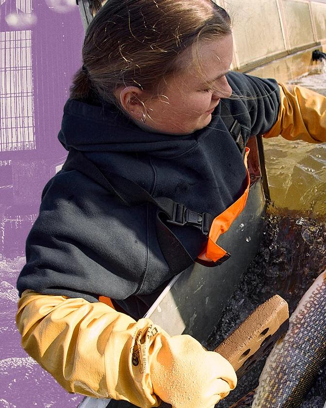 A pike and Royal Botanical Gardens worker at the Hamilton Fishways at Cootes Paradise Marsh