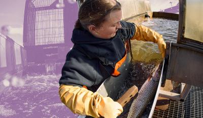 A pike and Royal Botanical Gardens worker at the Hamilton Fishways at Cootes Paradise Marsh