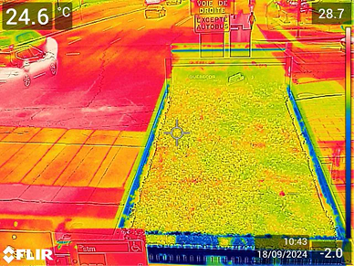Bioclimactic Transit Shelters Heatmap with green roof