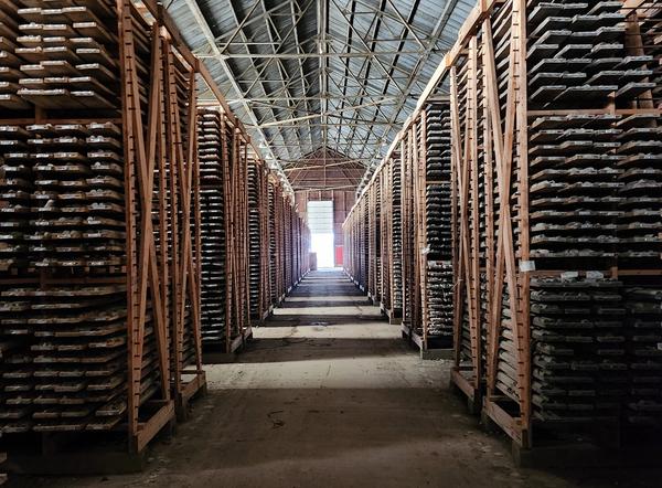 Digitizing decades-old drill-core records and feeding them into AI could speed up the discovery of such critical minerals as copper, nickel, lithium and cobalt while also allowing researchers to spot minerals that prospectors weren’t looking for when the drill core was originally collected.