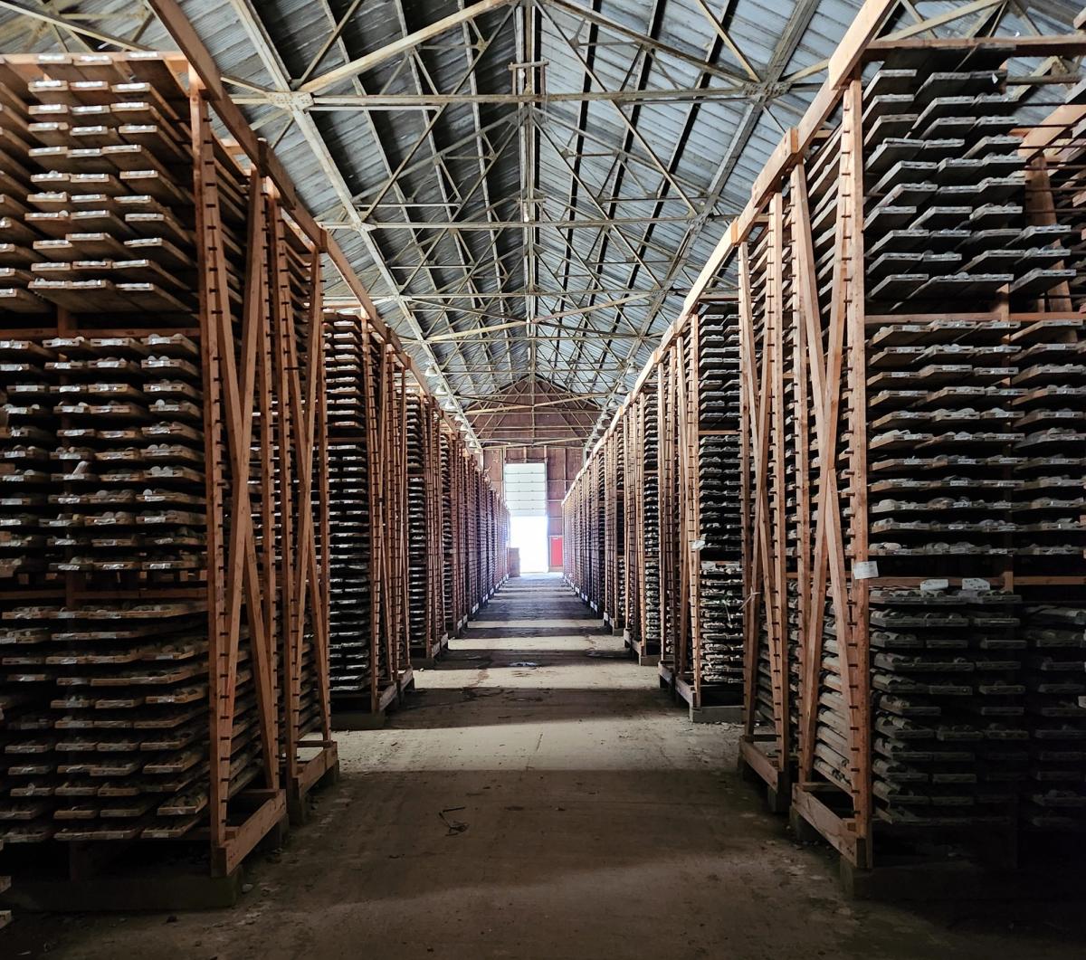 Digitizing decades-old drill-core records and feeding them into AI could speed up the discovery of such critical minerals as copper, nickel, lithium and cobalt while also allowing researchers to spot minerals that prospectors weren’t looking for when the drill core was originally collected.