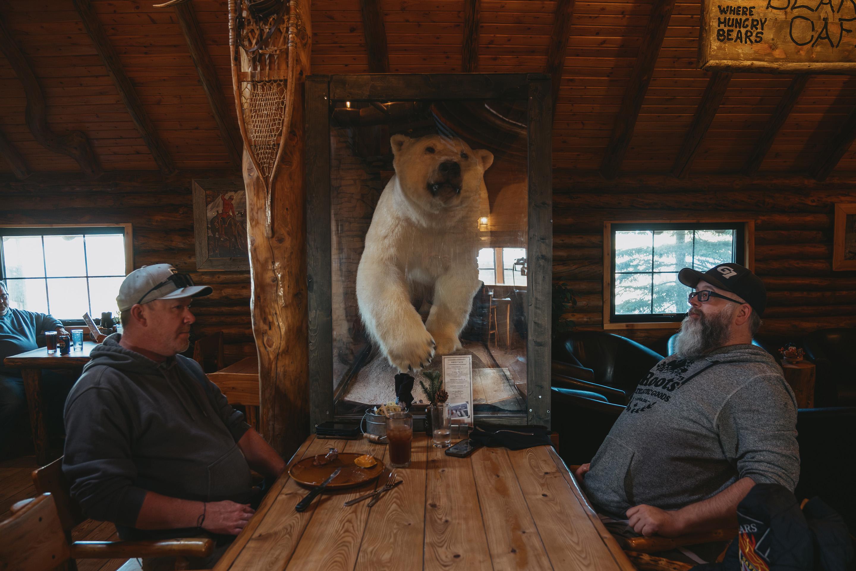 Diners sit next to a taxidermy polar bear in the Lazy Bear Cafe in Churchill, Manitoba