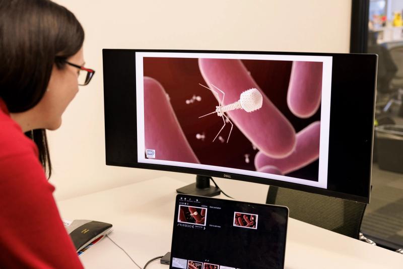 A computer screen displays research experiments being conducted by Dr. Karen Maxwell, a biochemistry professor at the University of Toronto’s Temerty Faculty of Medicine, in her office at the University of Toronto in Toronto on Oct. 15, 2026. Maxwell is the recipient of the 2026 Peter Gilgan Canada Gairdner Momentum Award.
