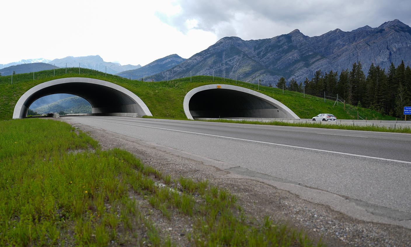 Peter Lougheed overpass on Highway 1