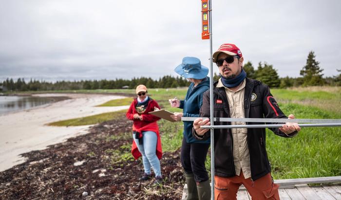 Coastal geographer Camilo Botero measures erosion levels with a device made from four dollar-store curtain rods in Black Duck Cove Provincial Park in Little Dover, N.S., on June 14, 2026.