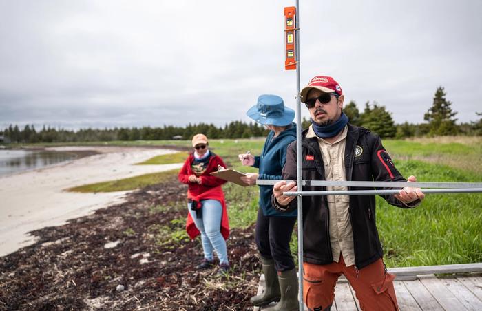 Coastal geographer Camilo Botero measures erosion levels with a device made from four dollar-store curtain rods in Black Duck Cove Provincial Park in Little Dover, N.S., on June 14, 2026.
