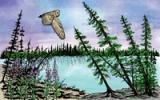 Article from Places