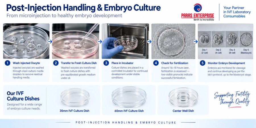 Post-injection handling and embryo culture from washing to blastocyst development