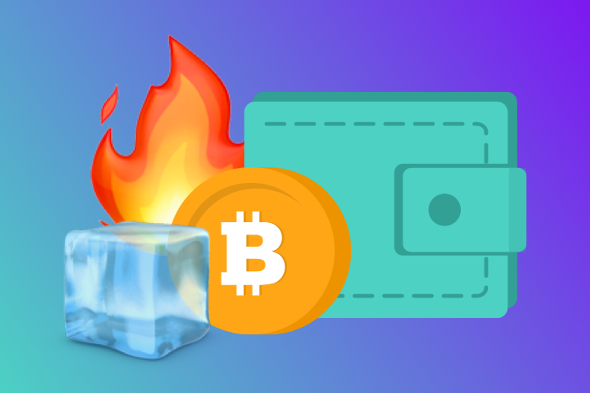 Crypto cold wallets vs hot wallets: what's the difference?