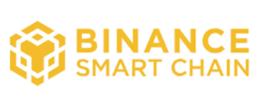 binance smart chain logo