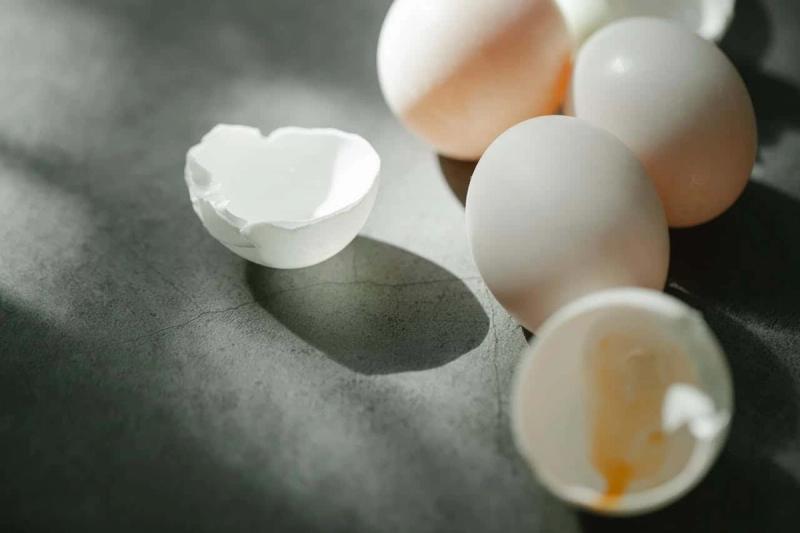 Can you develop an egg allergy later in life?