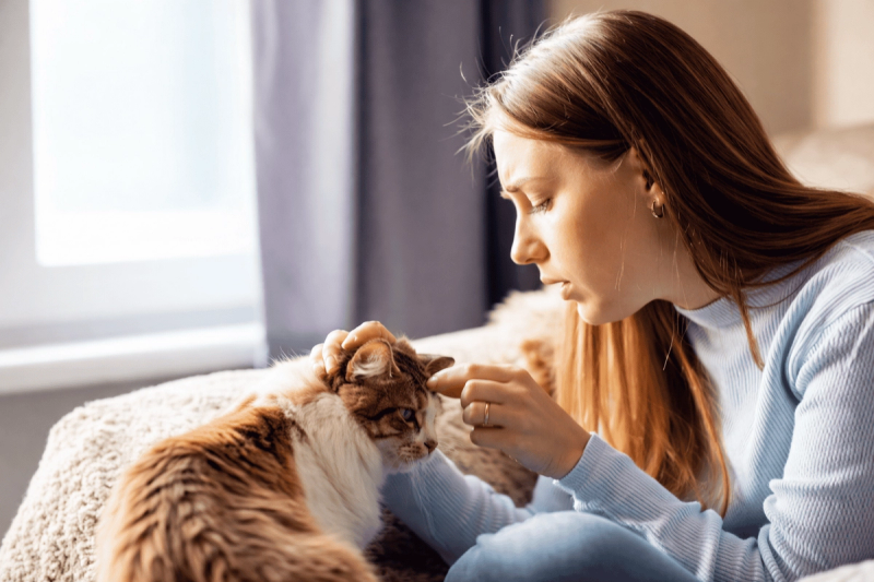 Katteallergitest: Find ud af, om du er allergisk over for katte