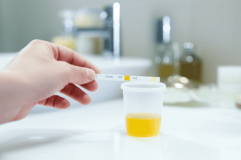 Nyrefunktionstest til hjemmebrug: tidlig diagnose af nyresygdom med urin-albumintest