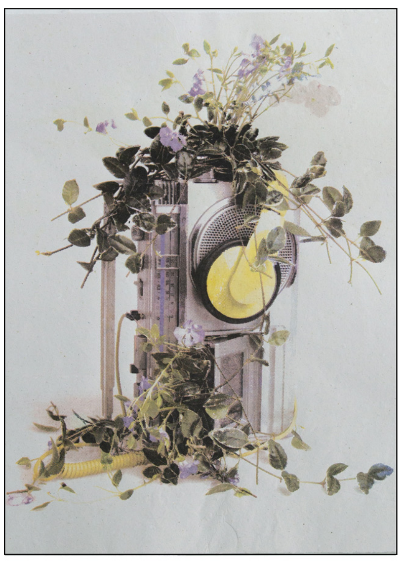 Photograph of a cassette player covered in green plants. Sustainability Project by Beth Theobold