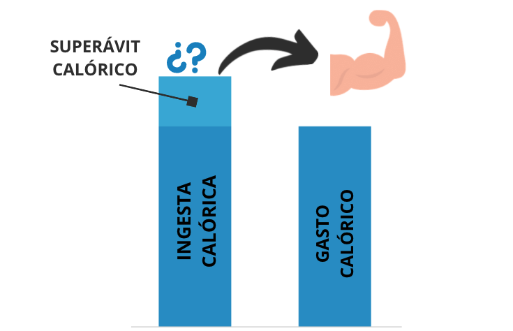 calorías para ganar músculo