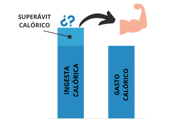 calorías para ganar músculo calorías para ganar músculo
