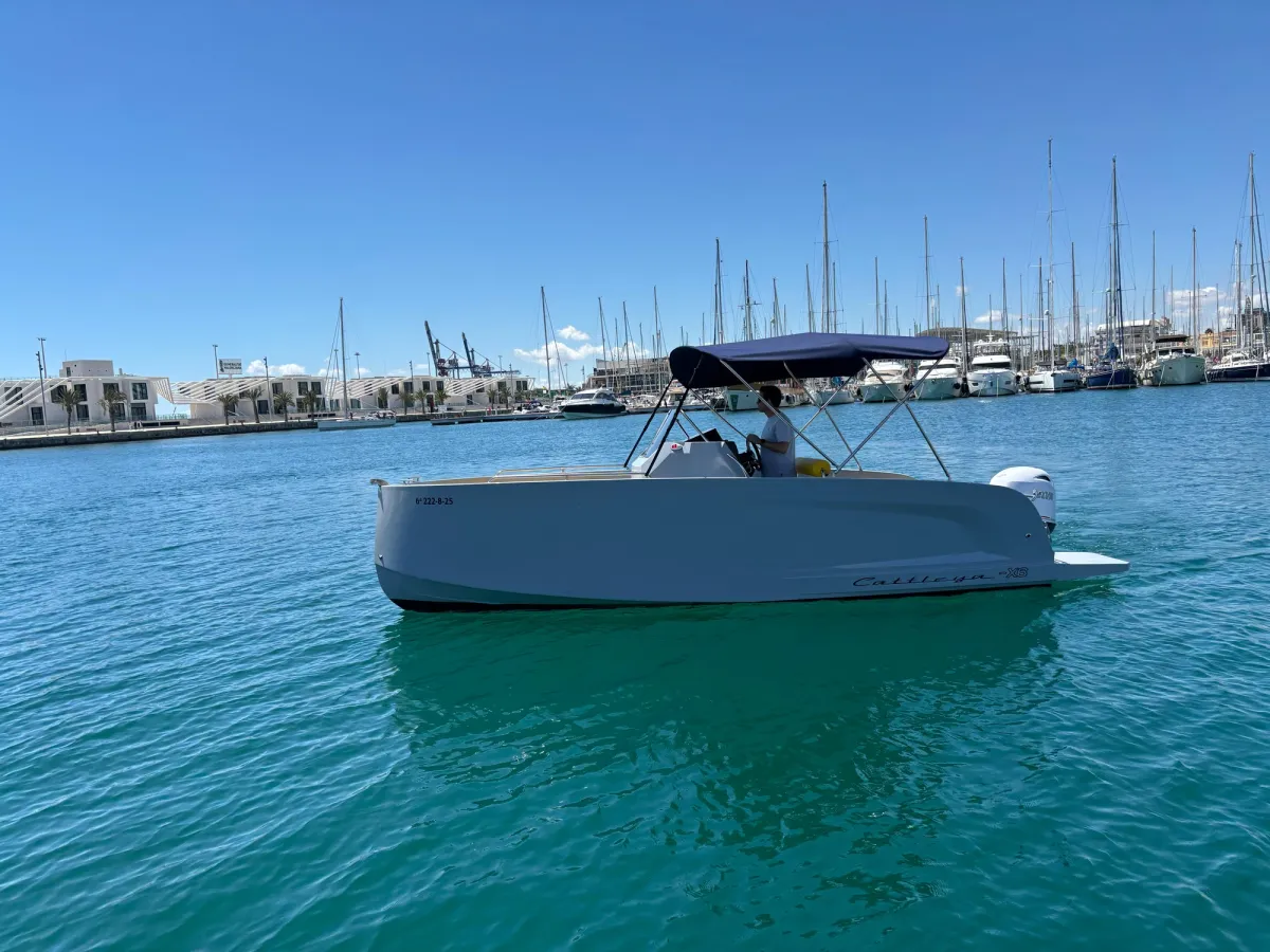 Cattleya X6 Open ¡New 2025! - Imagen 1