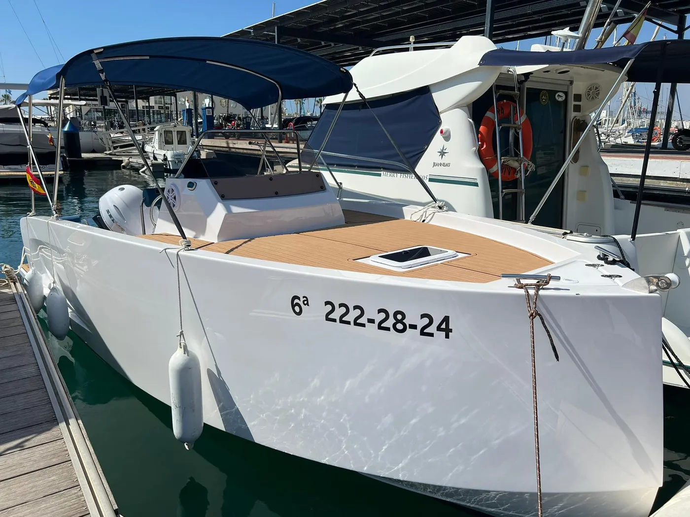Cattleya X6 Cabin 2024