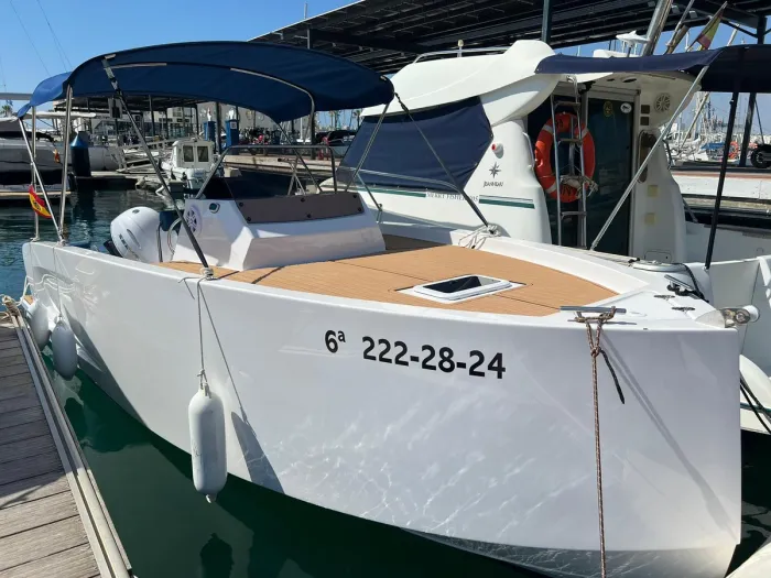 Cattleya X6 Cabin 2024