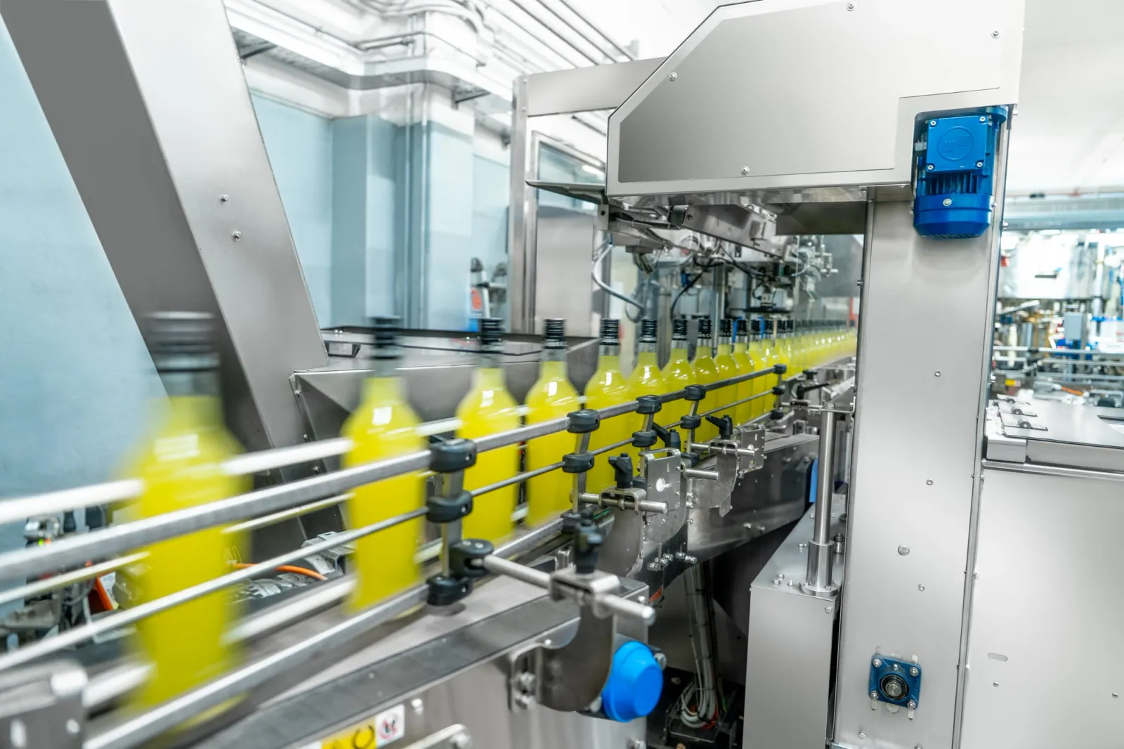 Production and Bottling 5