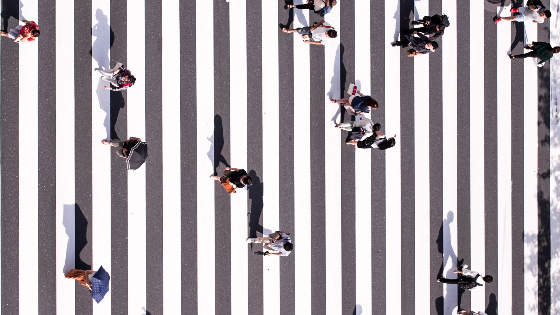 Overhead shot of people walking along black and white stripped pedestrian crossing. 