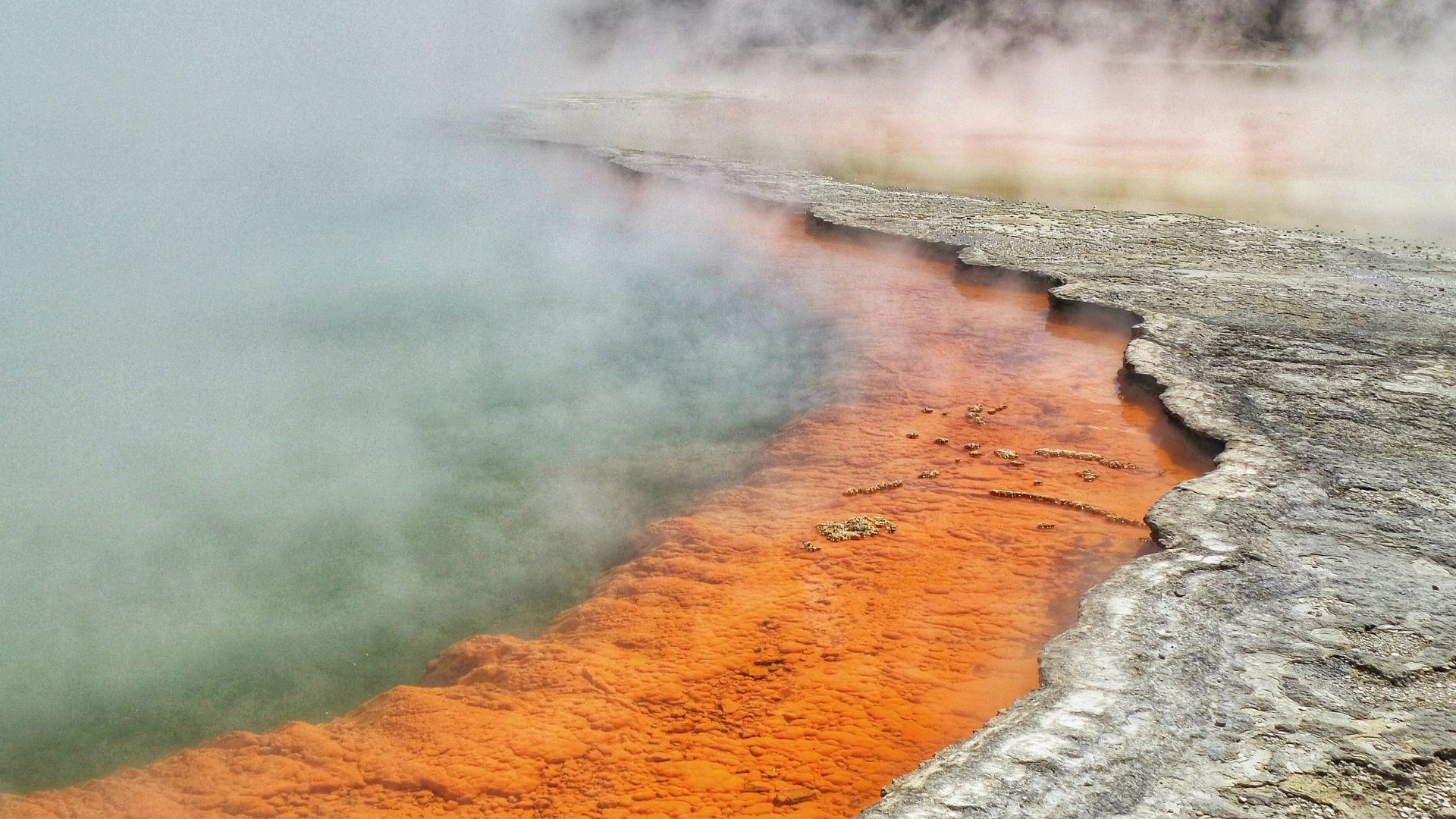 Steam over a thermal pool. 