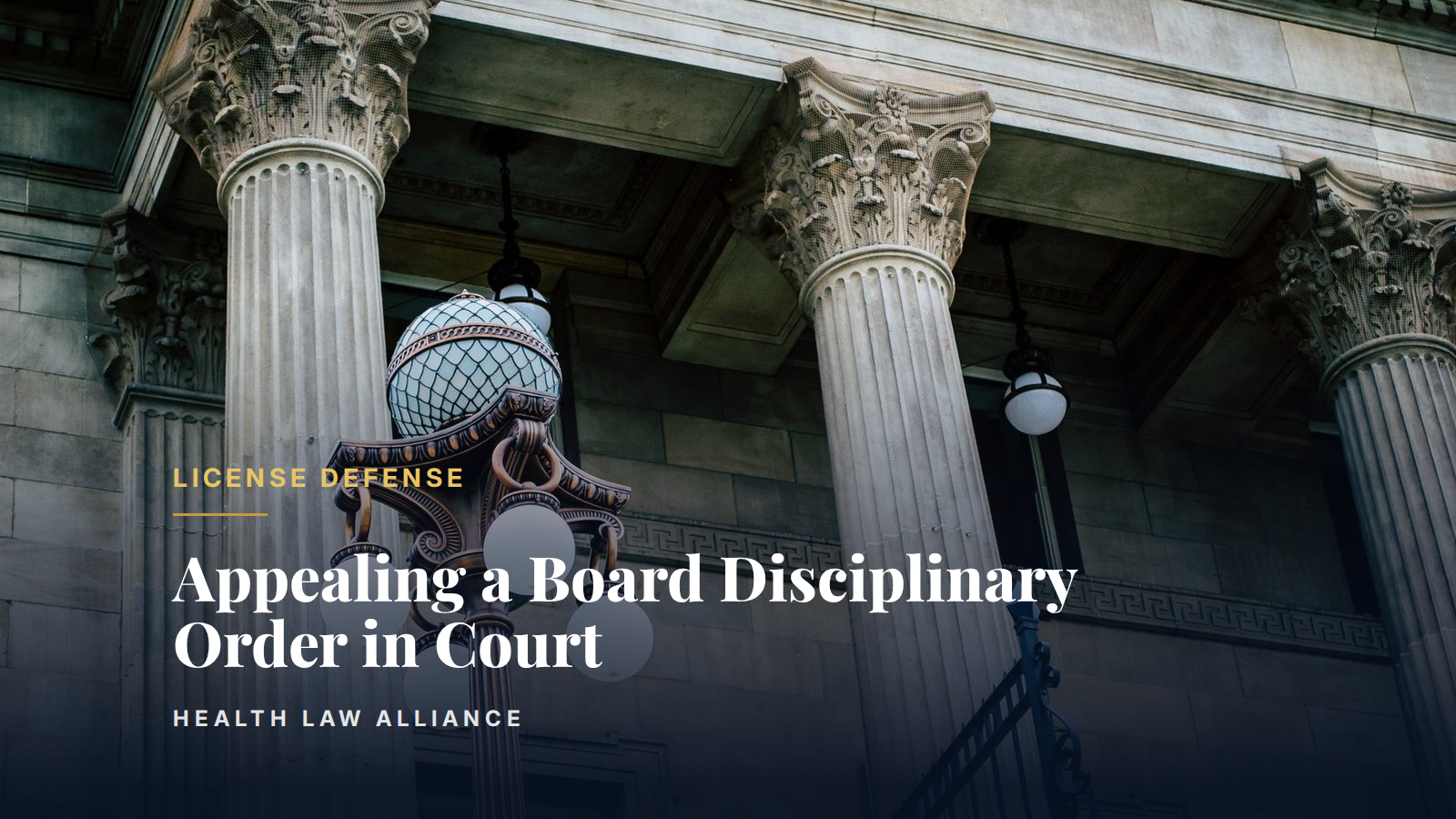 Appealing a Board Disciplinary Order in Court