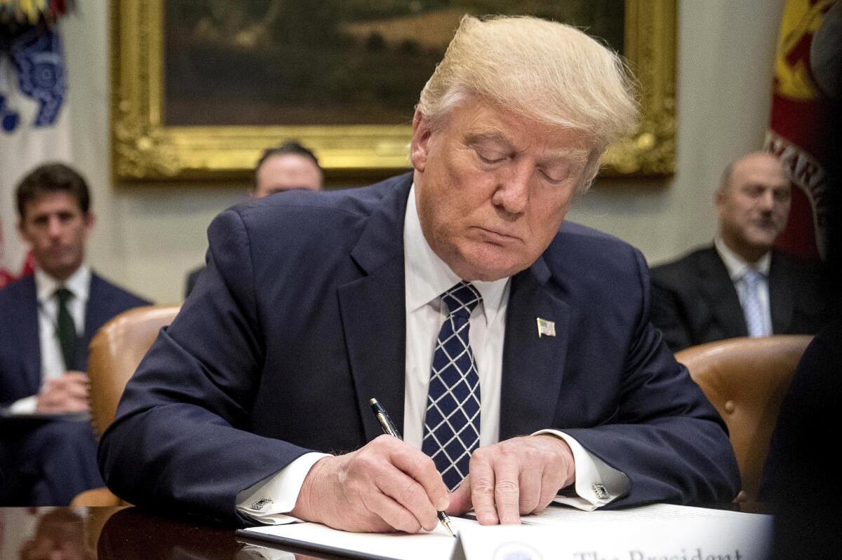 New Executive Order Signals Faster Psychedelic Drug Approvals--and Closer DEA Scrutiny