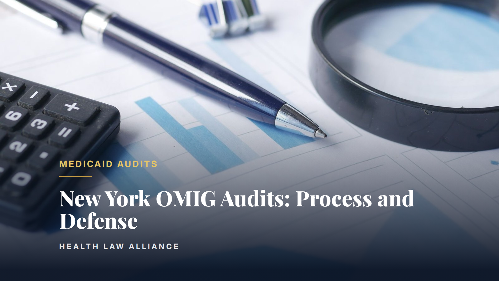 New York OMIG Audits: Process and Defense