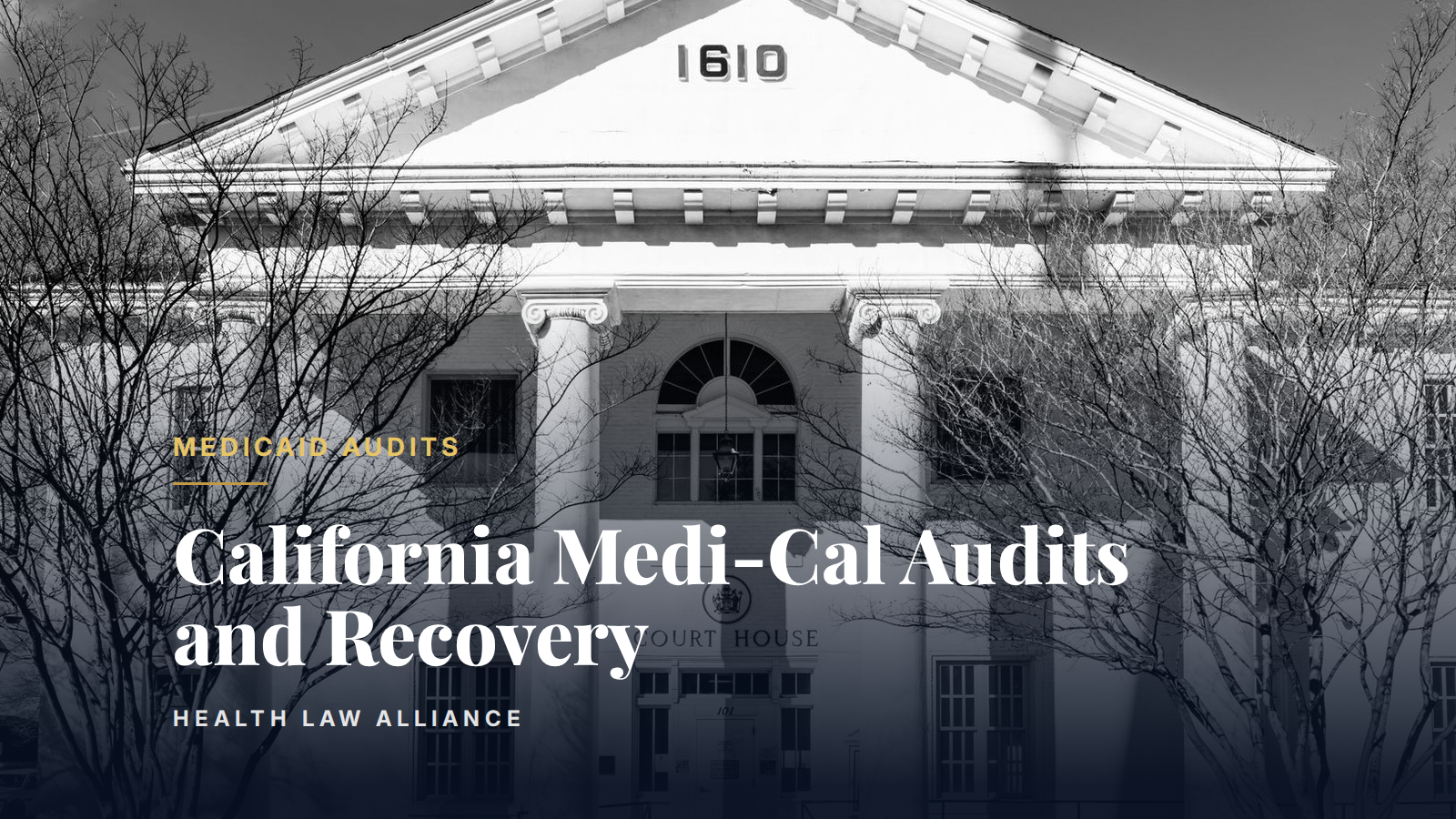 California Medi-Cal Audits and Recovery