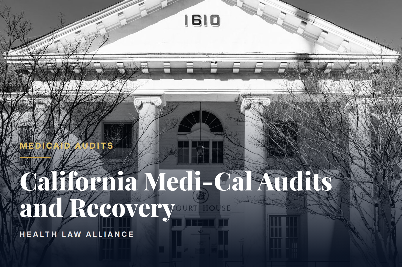 California Medi-Cal Audits and Recovery