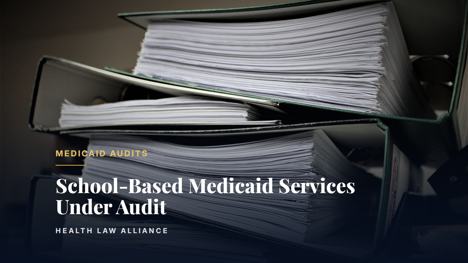 School-Based Medicaid Services Under Audit