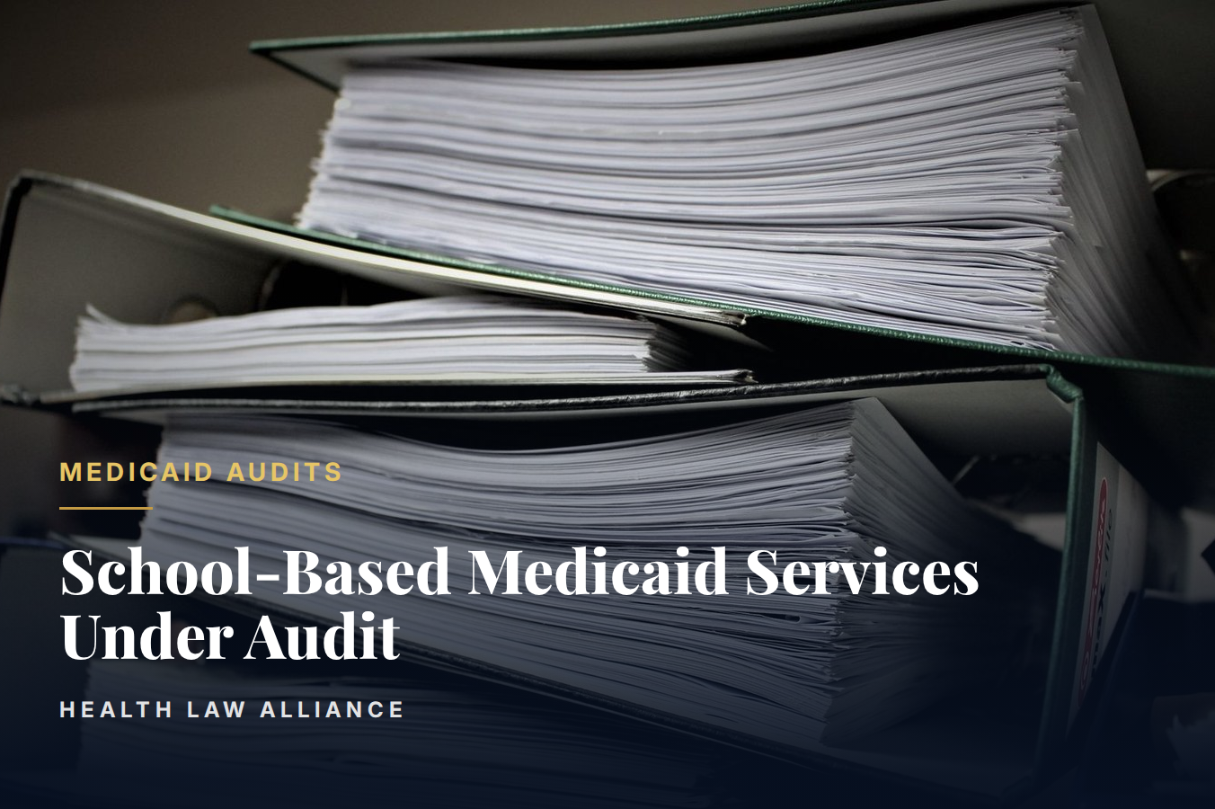 School-Based Medicaid Services Under Audit