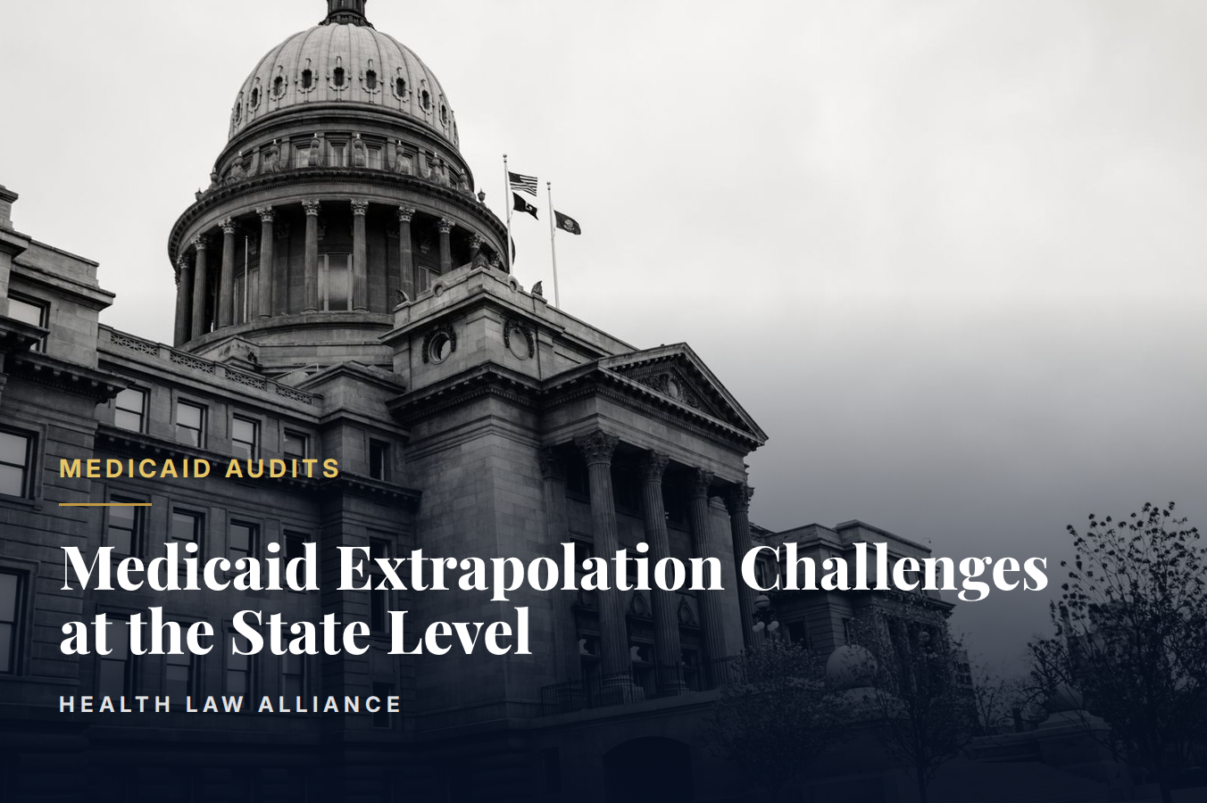 Medicaid Extrapolation Challenges at the State Level