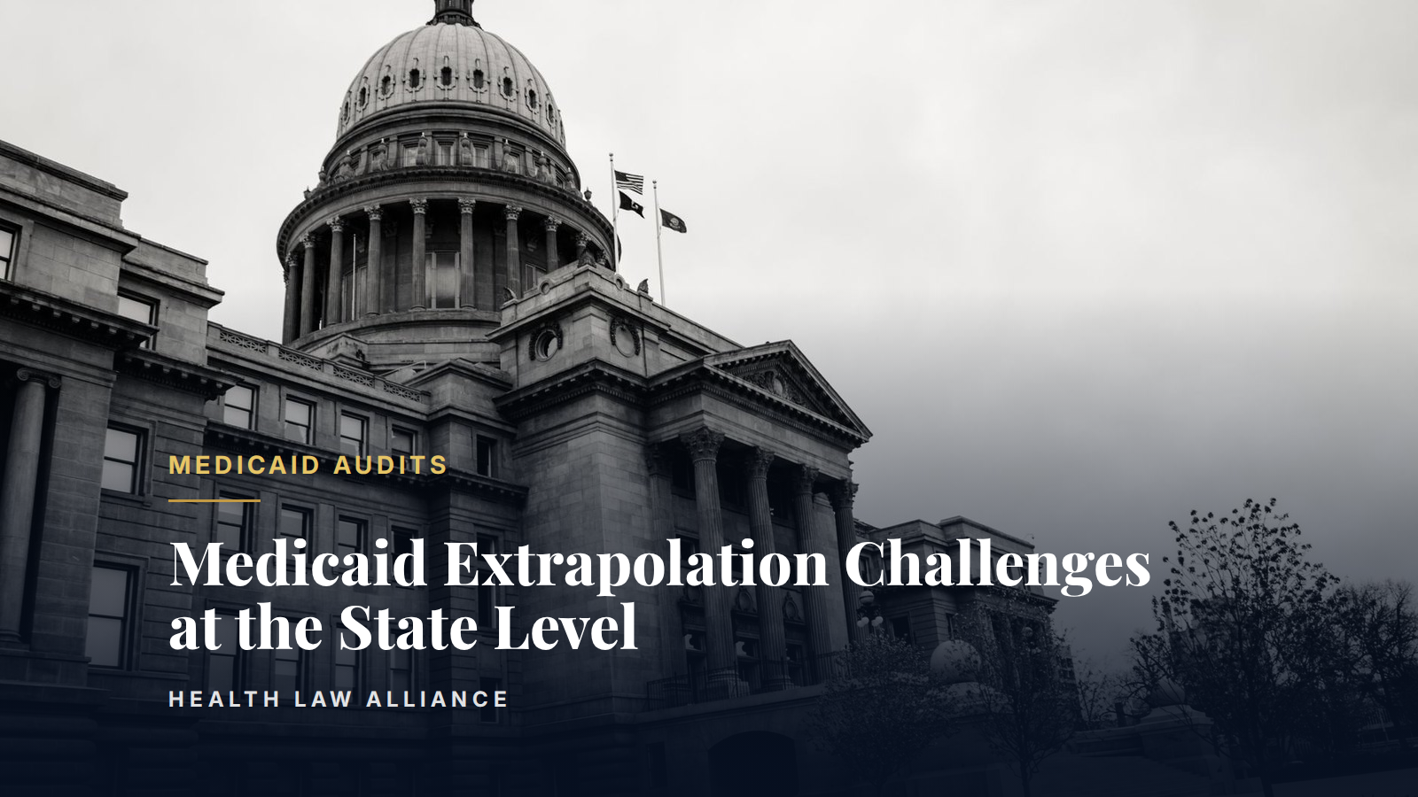 Medicaid Extrapolation Challenges at the State Level