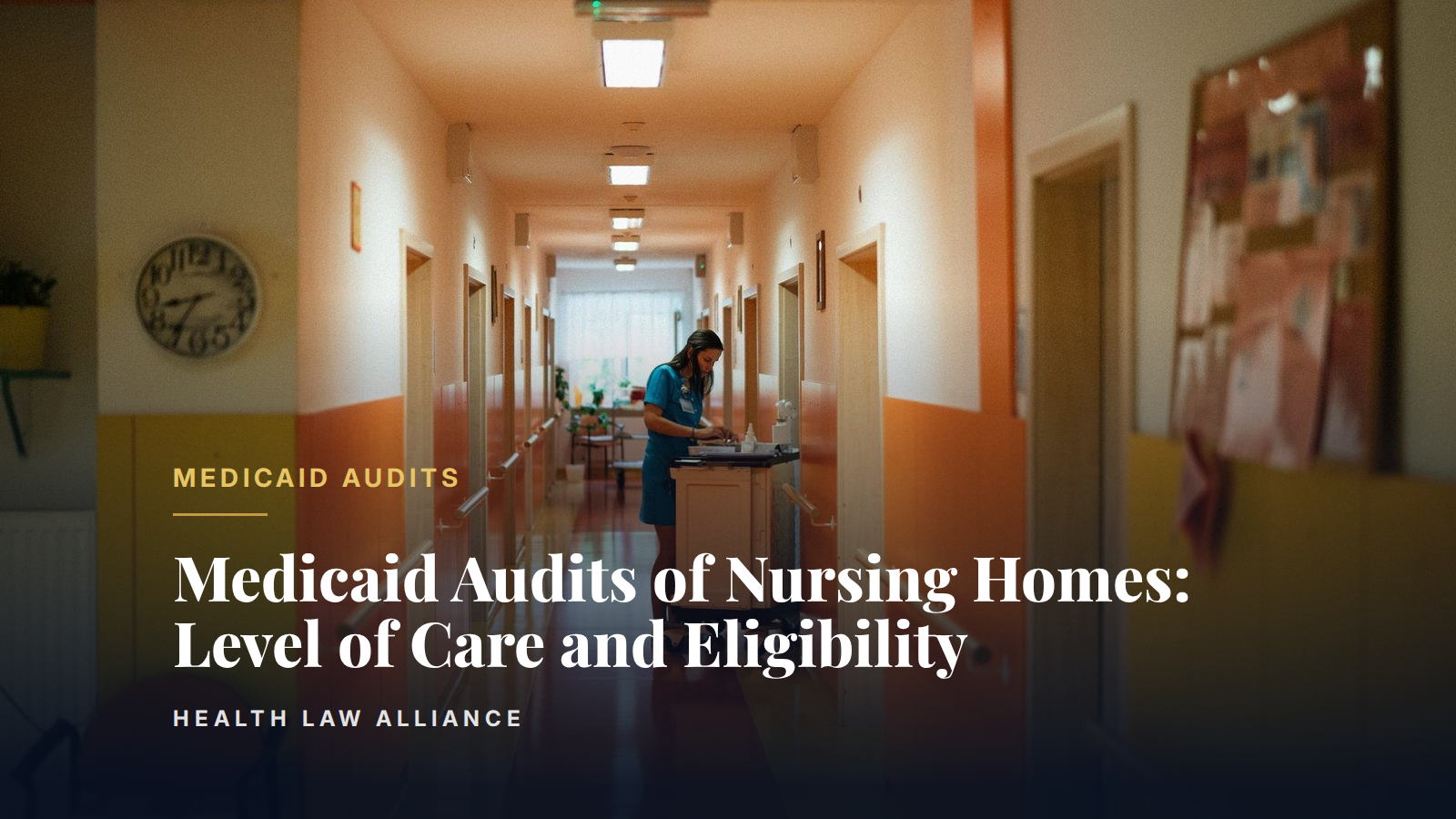 Medicaid Audits of Nursing Homes: Level of Care and Eligibility