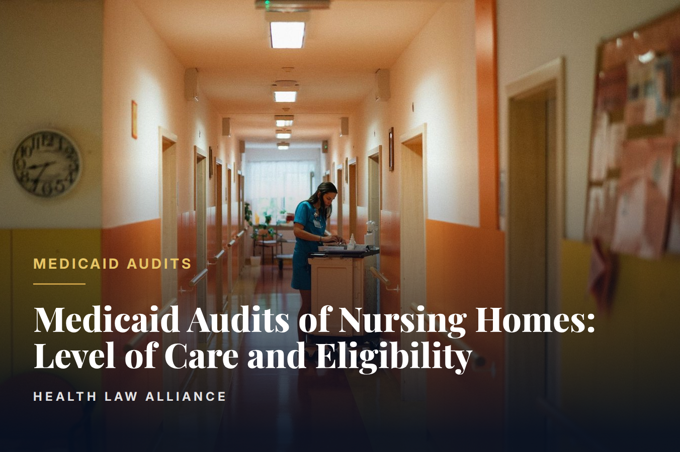 Medicaid Audits of Nursing Homes: Level of Care and Eligibility