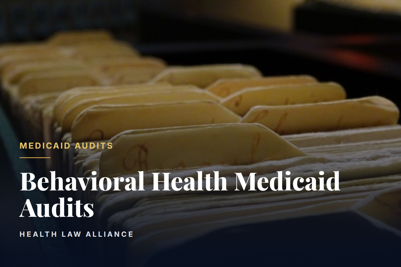 Behavioral Health Medicaid Audits