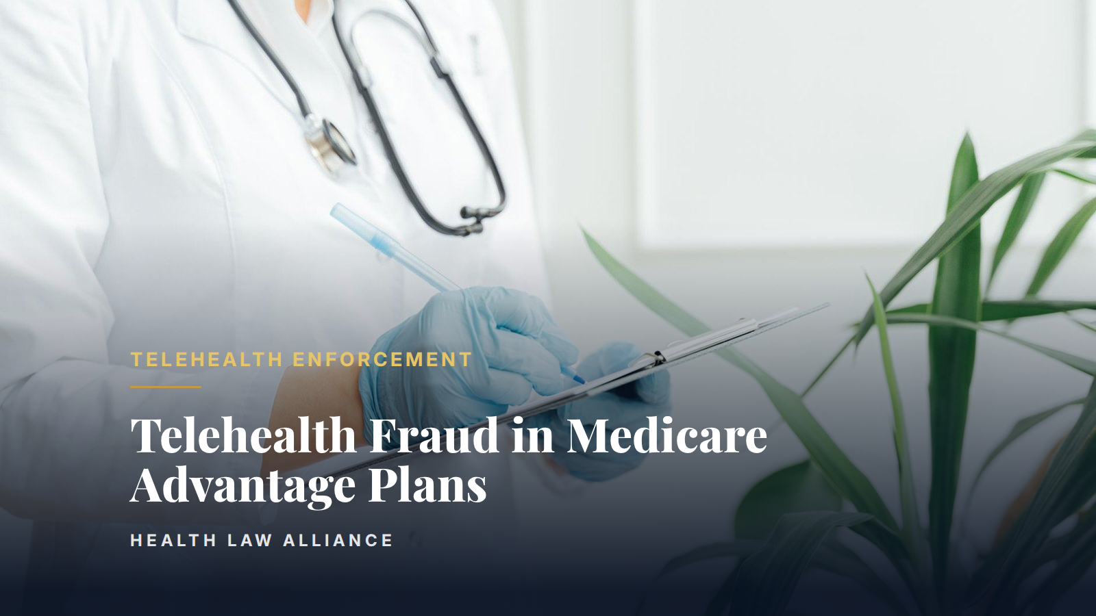 Telehealth Fraud in Medicare Advantage Plans