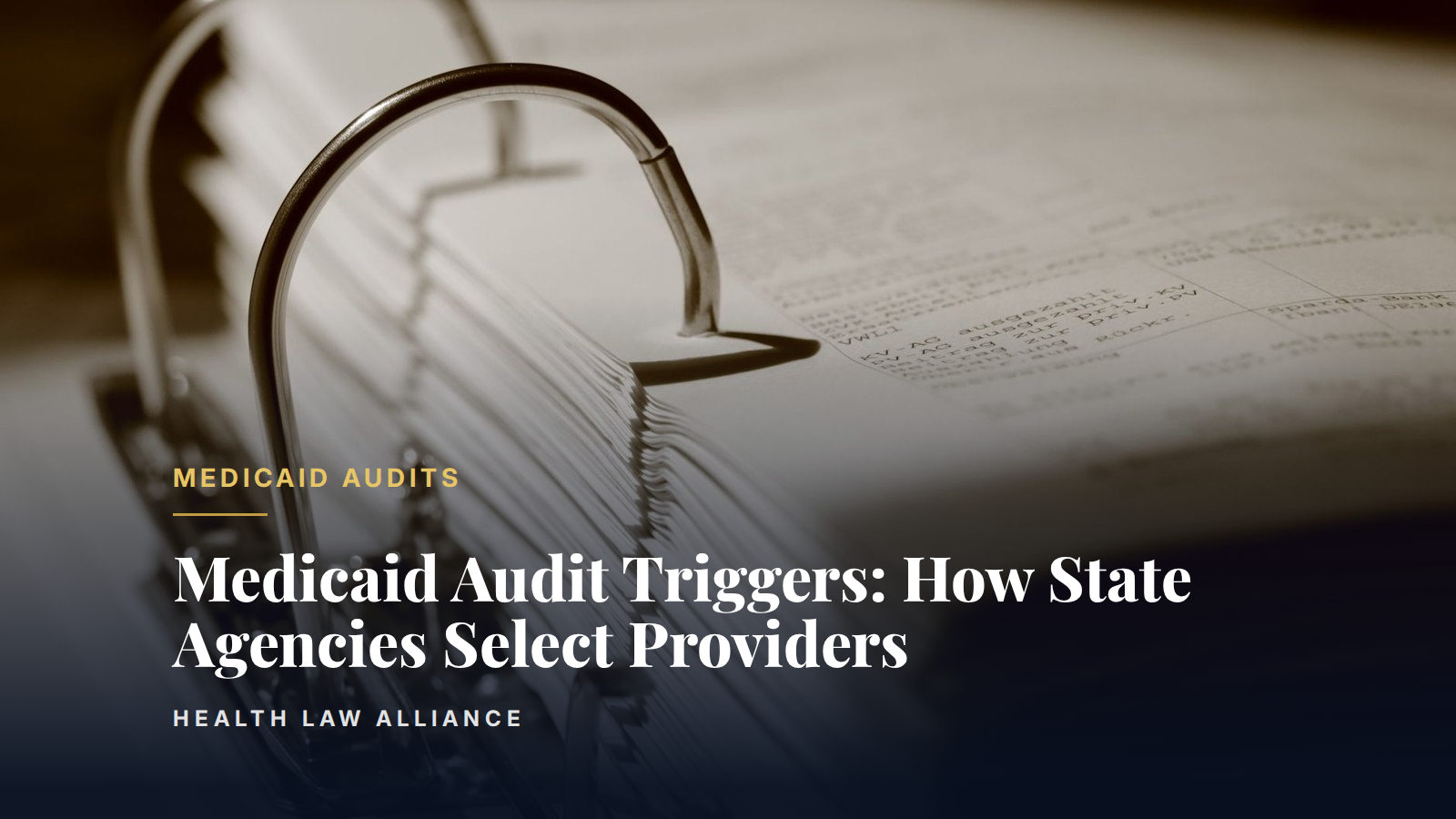 Medicaid Audit Triggers: How State Agencies Select Providers