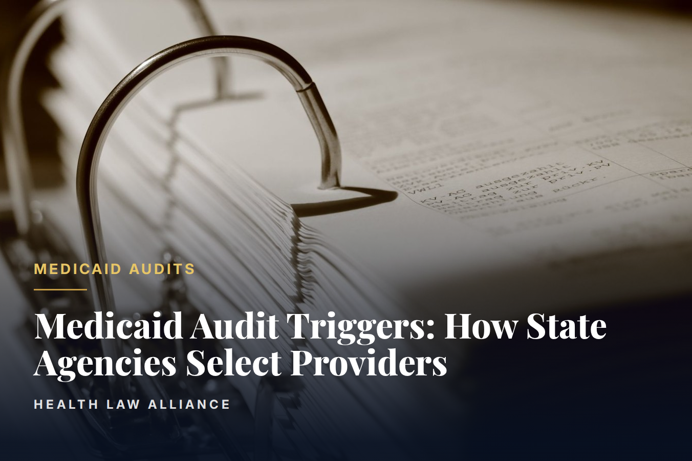 Medicaid Audit Triggers: How State Agencies Select Providers