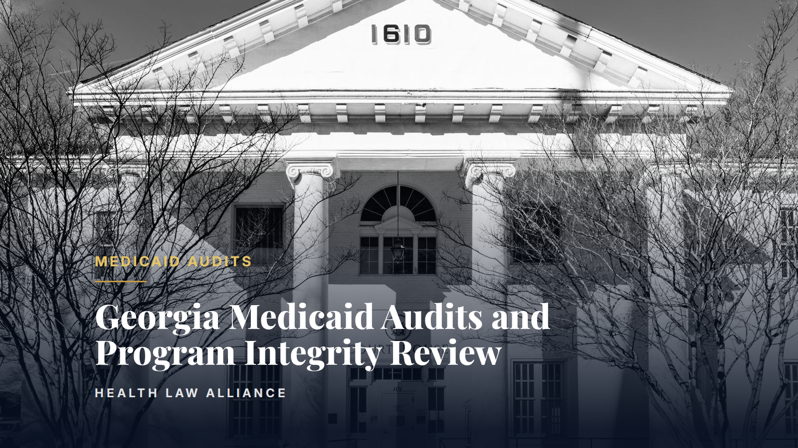 Georgia Medicaid Audits and Program Integrity Review