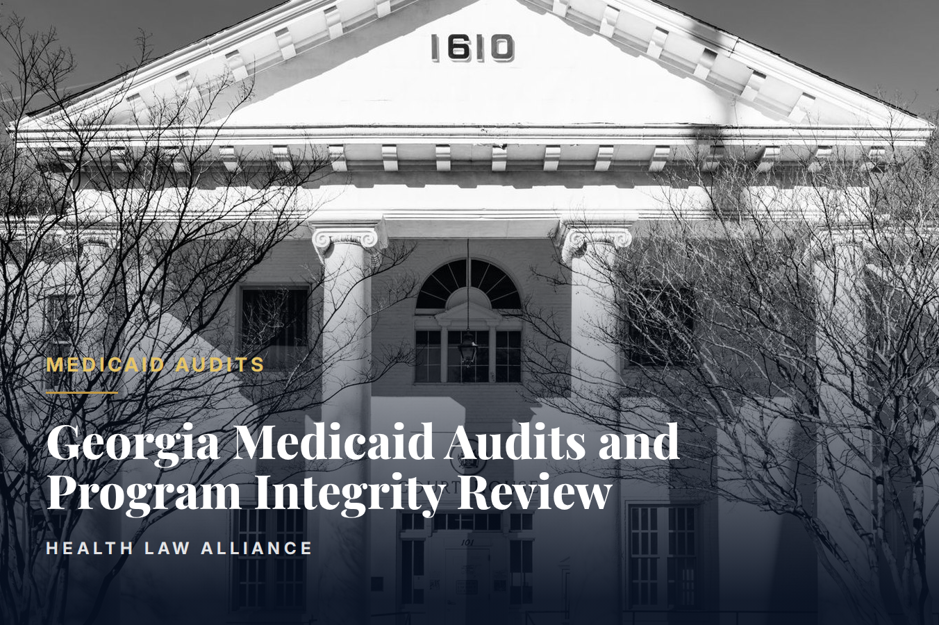 Georgia Medicaid Audits and Program Integrity Review